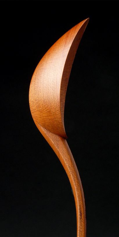 Spoon detail, Zina Burloiu